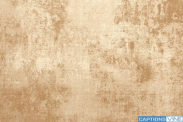 Neutral Color Captions For Instagram